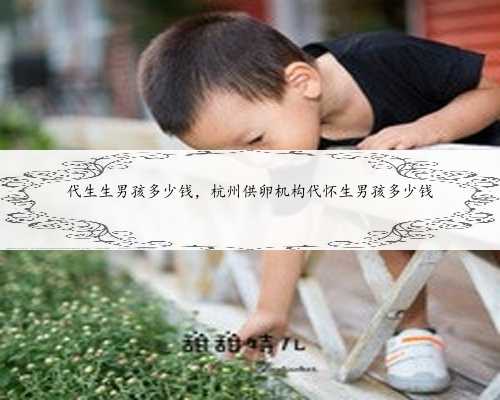 代生生男孩多少钱，杭州供卵机构代怀生男孩多少钱