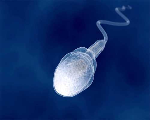 供卵试管~看输卵管是否堵塞做什么检查~代孕后老