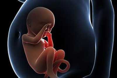 男女精卵不匹配不孕不育,日本试管婴儿供精技术主要有哪些独到之处？